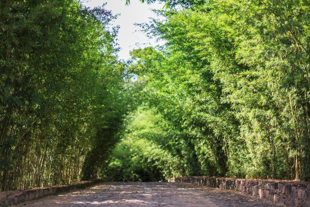 Pousada Bosque Do Lapao เลนโซยส์ ภายนอก รูปภาพ